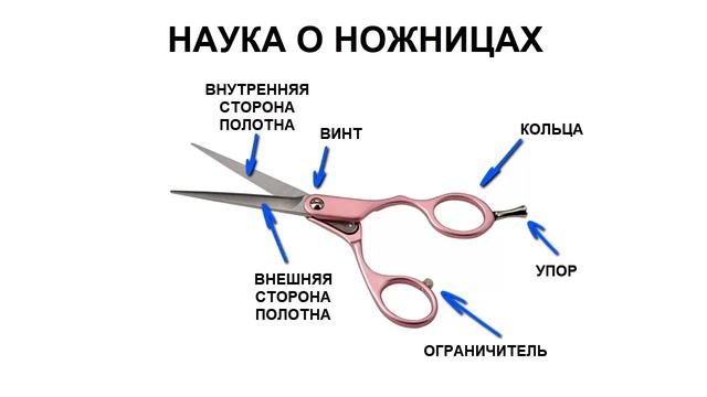 Анатомия ножниц смотреть онлайн