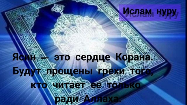 Ясин – это сердце Корана. Будут прощены грехи того, кто читает ее только ради Аллаха. смотреть онлайн