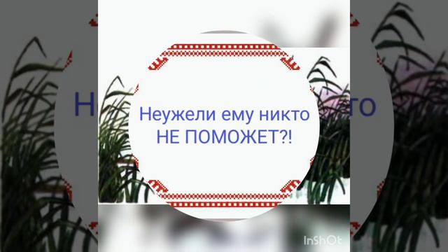 Буктрейлер "Охотник и змея" МАДОУ "Детский сад №369" смотреть онлайн