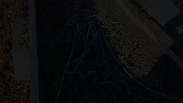 Заготовка сена в Деревне.