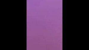 Животные Алтайского Края школа 11