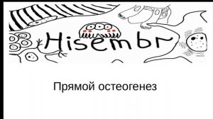 Прямой остеогенез.