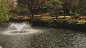 Я ЛЮБИЛА ЛЮБОВЬ - красивый романс о любви, поёт Иля Вольфман