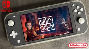 Gray Dawn Nintendo Switch Lite Gameplay