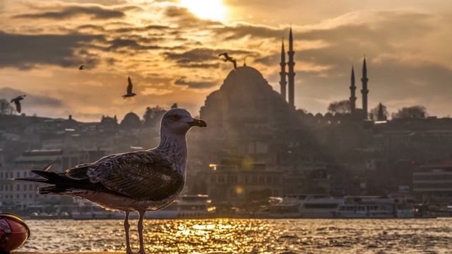 Turkish Instrumental Music / Турецкая Инструментальная Музыка