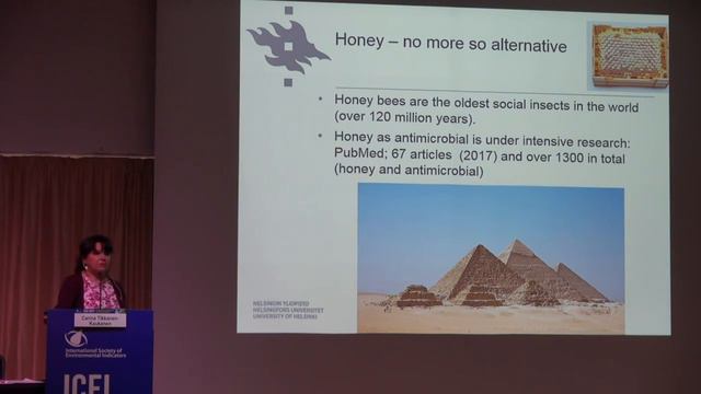 Carina Tikkanen Kaukanen at ICEI 2017 смотреть онлайн