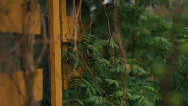 TO-DO | KiraMaster | Cinematic | TravelClip | May '21 | Sony A7c Fe 85mm f18 смотреть онлайн