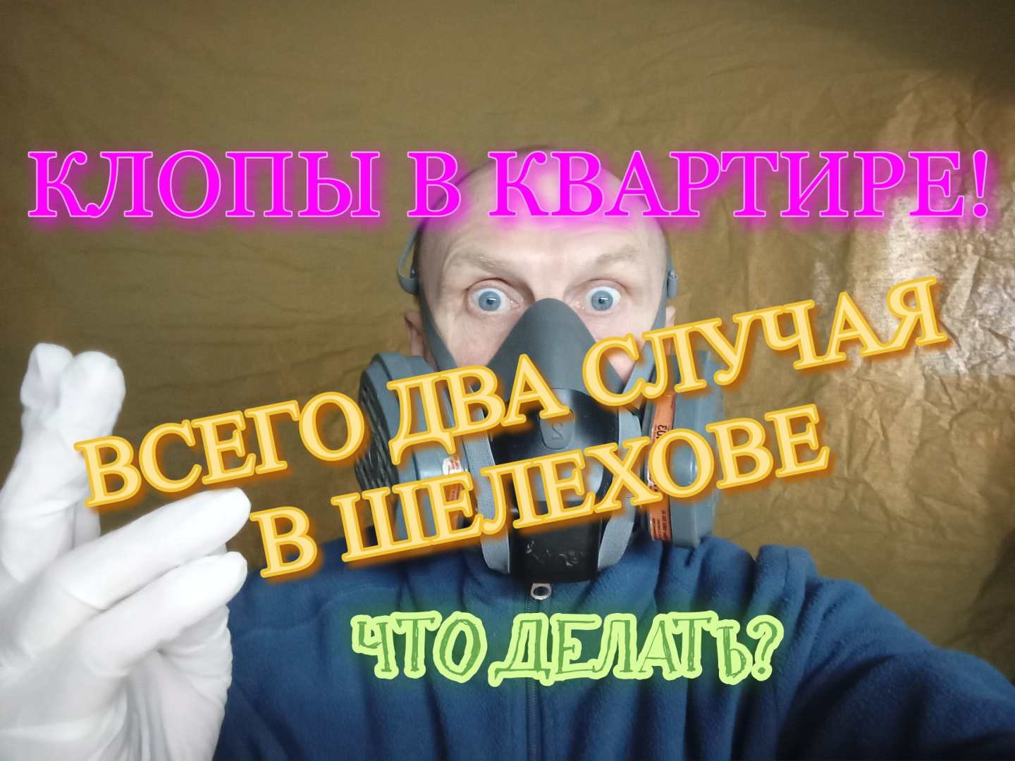 Клопы_в_квартире, что делать?