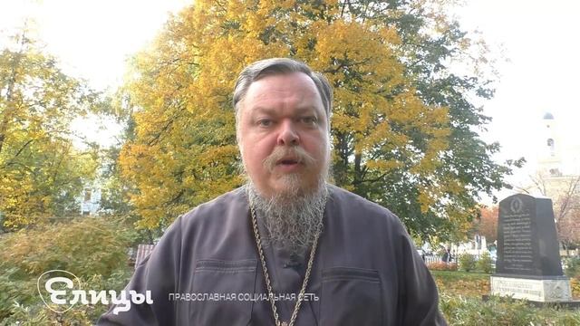 Если встретится священник на улице, брать благословение? Всеволод Чаплин. #Вопросы_Батюшке. Елицы
