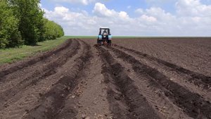 Садим тыкву с помощью трактора