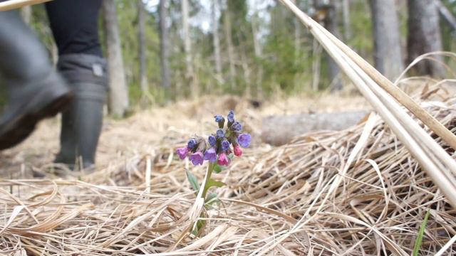 Встречаю весну в деревне: простая жизнь в окружении природы, цветущий лес и радость первого урожая