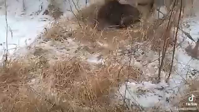 нужен дом ??? смотреть онлайн