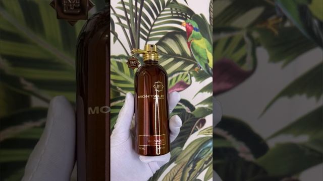 Montale Wild Aoud краткий обзор на аромат Монталь Дикий Уд.