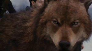 Сумерки. Ренесми и Джейкоб