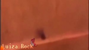 удар колбасой