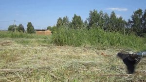 Строю дом сам  #4 Кошу и собираю сено в копёшки Теперь виден рельеф и контур  участка