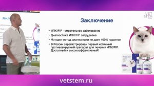 Из Сколково – в жизнь! Новейшие достижения в лечении инфекционного перитонита кошек (ИПК/FIP)