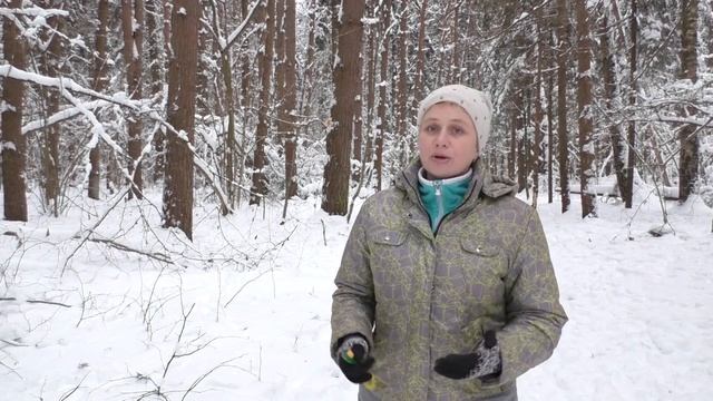 Маркер _Да_ кликер _ Дрессировка собак.mp4