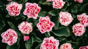 Проучила. Жизненные истории. Интересные истории. Душевные истории. Рассказы. Увлекательные истории.