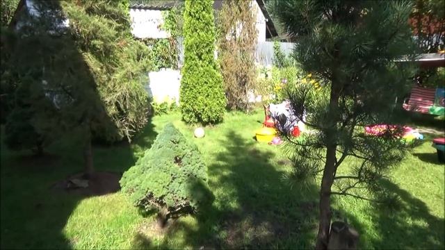 Дача. И снова в гостях у Тани с Леней в каменном садике. Дела дачные... смотреть онлайн