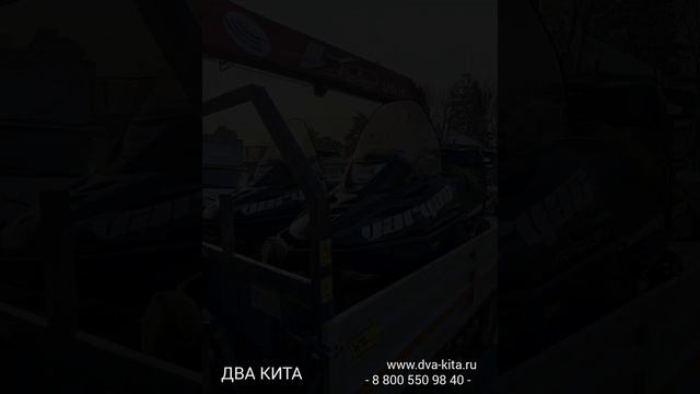 ТК ДВА КИТА. Каждый день - это шанс начать все сначала.