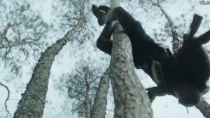 Обзор дорамы "Арсенал военной академии"