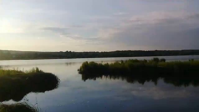 Нашли большой водоём. Дачи совсем близко к воде, стерли тропу #Хабаровск #лето #Ильинка #Некрасовка смотреть онлайн