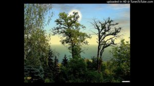 харе кришна киртан (вечерняя мелодия)