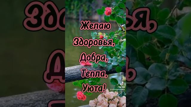 #здоровье #пожелания смотреть онлайн