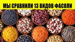 Мы сравнили 13 видов фасоли. Какая Фасоль Самая Полезная