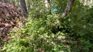 Обзор кемпинга в Приэльбрусье в с Терскол. Кемпинг Кавказ