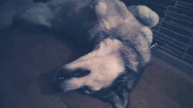 новый праздник самый скучный день!!! смотреть онлайн