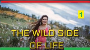 THE WILD SIDE OF LIFE - 1 (re-upload)
* versions *