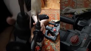 Number one Перфоратор SDS+ EH1500/32-1 №1 отзыв обзор.