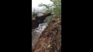 Третья попытка спуска пруда для реконструкции