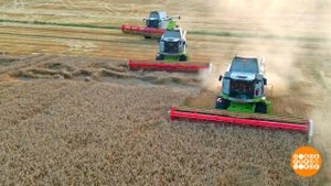 Зачем комбайну автопилот? Доброе утро. Фрагмент выпуска от 08.02.2023