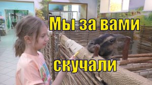 ЗООЛАНДИЯ МУРМАНСК КОНТАКТНЫЙ ЗООПАРК.mp4