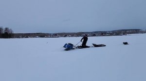 мотобуксировщик Мужик м 500