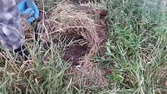 #29 Крайний коп в Калужской области, а теперь домой...