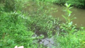 Рыбалка на менее рыбных местах,но моя тактика сохранила успех.mp4