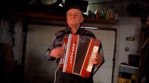 Электрогармонь Ворскла