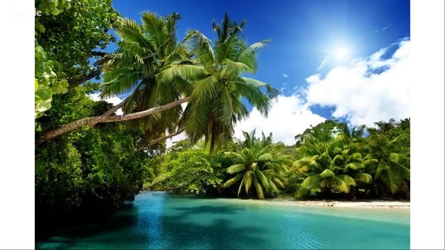 Николай Пейчев "Путешествие внутрь себя" - занятие №4 смотреть онлайн