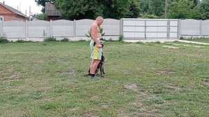 Послушание дратхар Даур