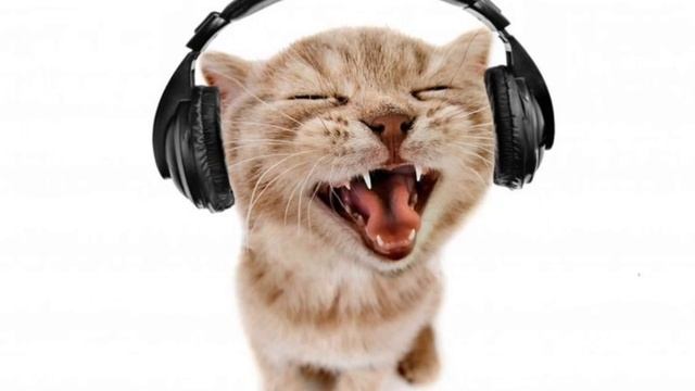 Эщкере speed up. Аниме travis porter bring it back. Аарон смит unconditional. Bring it back speed up. Bring it back travis porter.