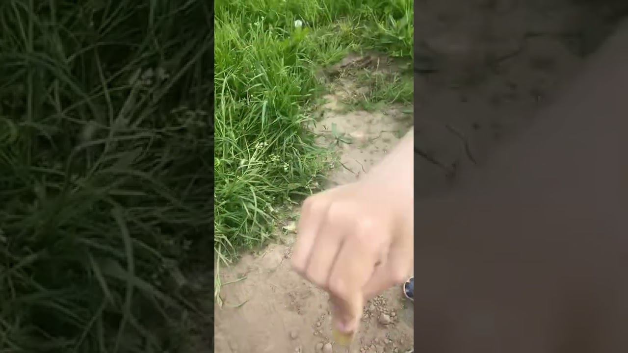 Неожиданная и приятная находка! смотреть онлайн