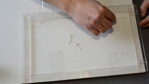 Сбор пчелиного яда (пасека)