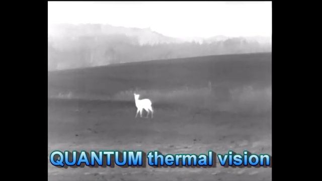 New THERMAL IMAGERS Quantum. Pulsar смотреть онлайн