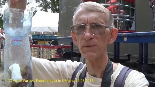 Пчеловодство Украины: "Чарунка", Ловушка Для Ос и Ярмарка Меда