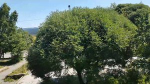 Златоустовский трамвай