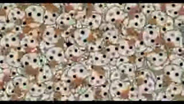 Я ужасный хомячок мутант! смотреть онлайн